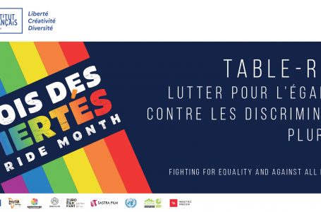 Table-ronde | Lutter pour l’égalité et contre les discriminations plurielles