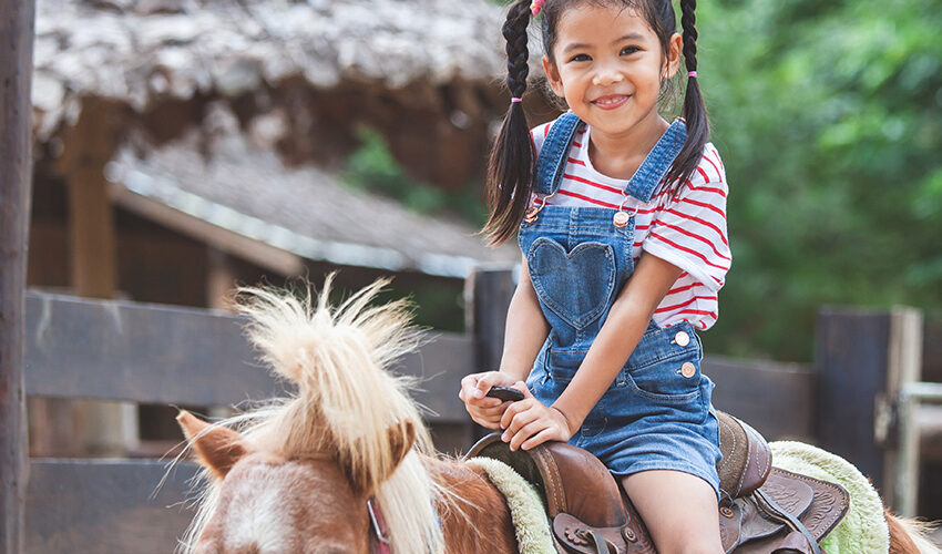  Activité pour les enfants | Balade à dos de poney
